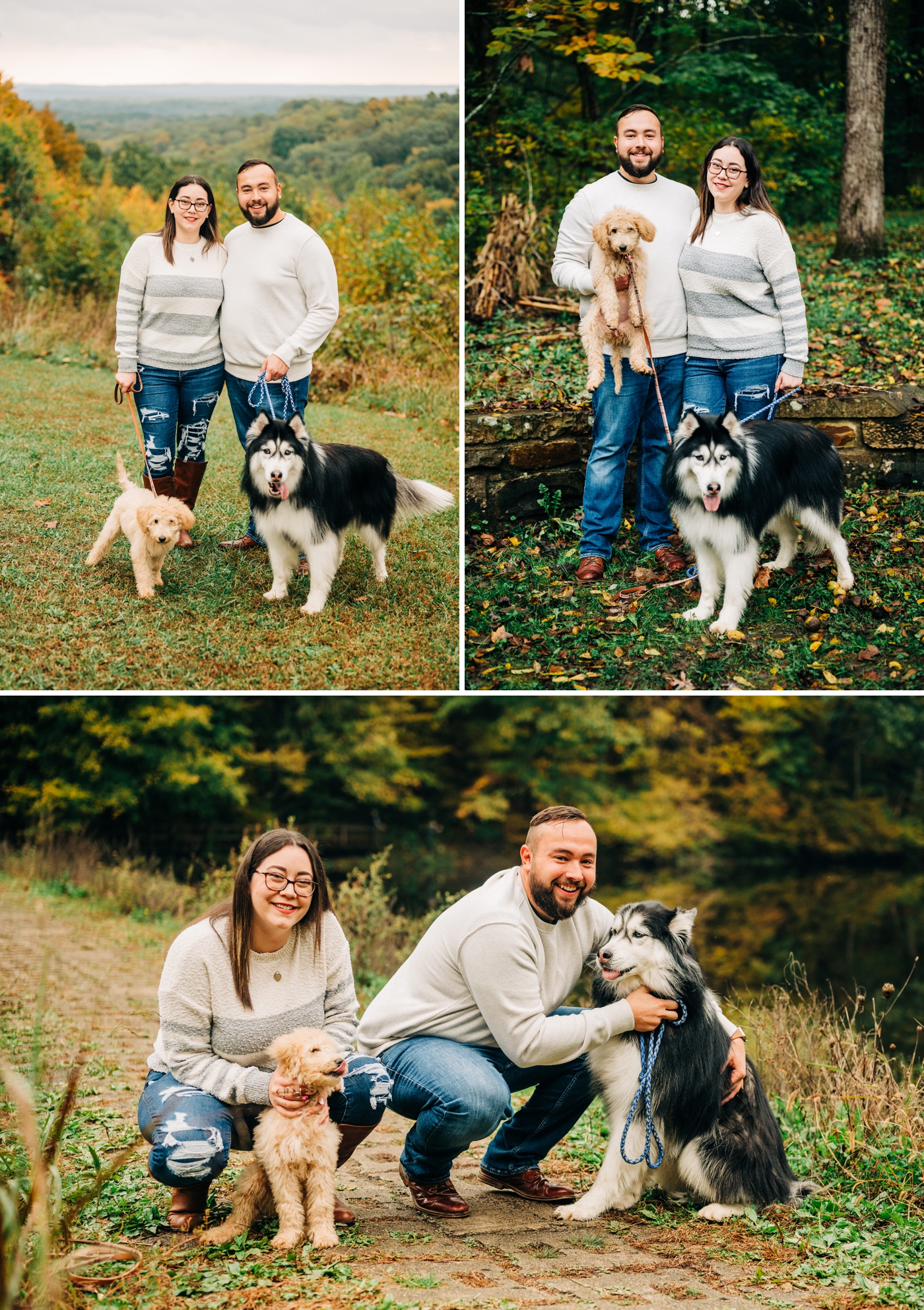 Engagement session with your dog