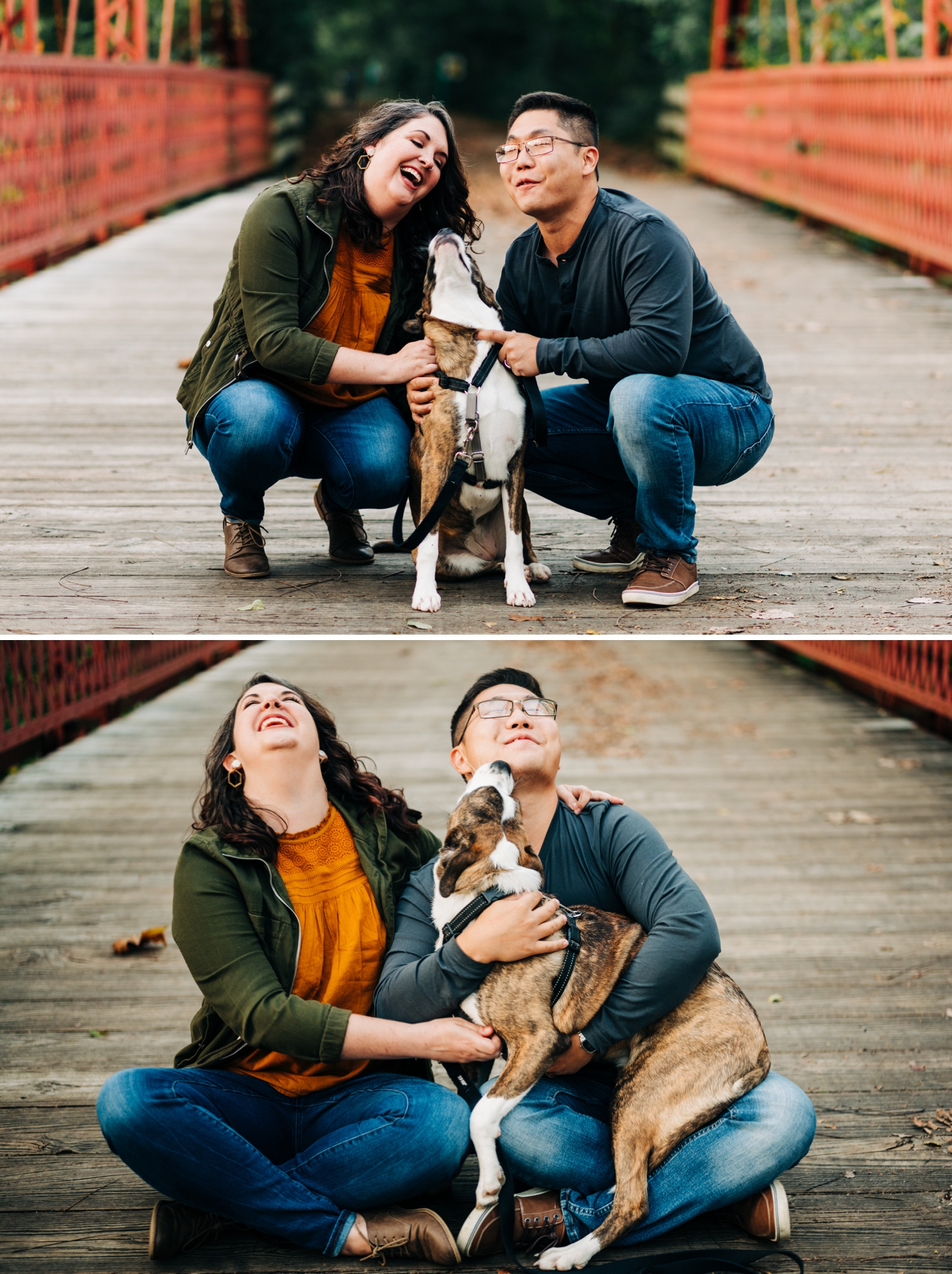 Photoshoot with your dog