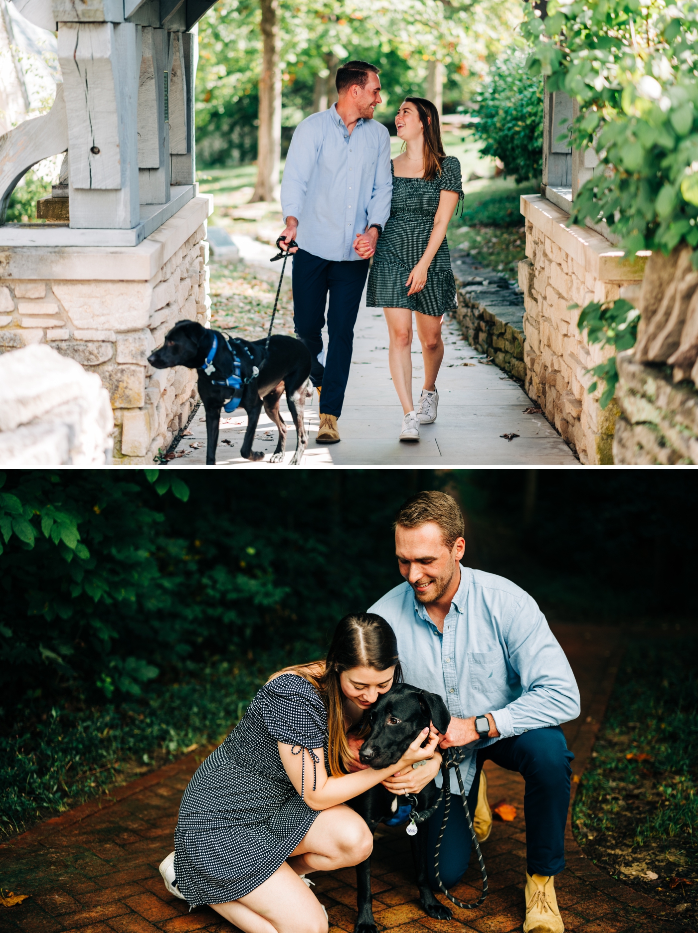 Engagement session with your dog tips
