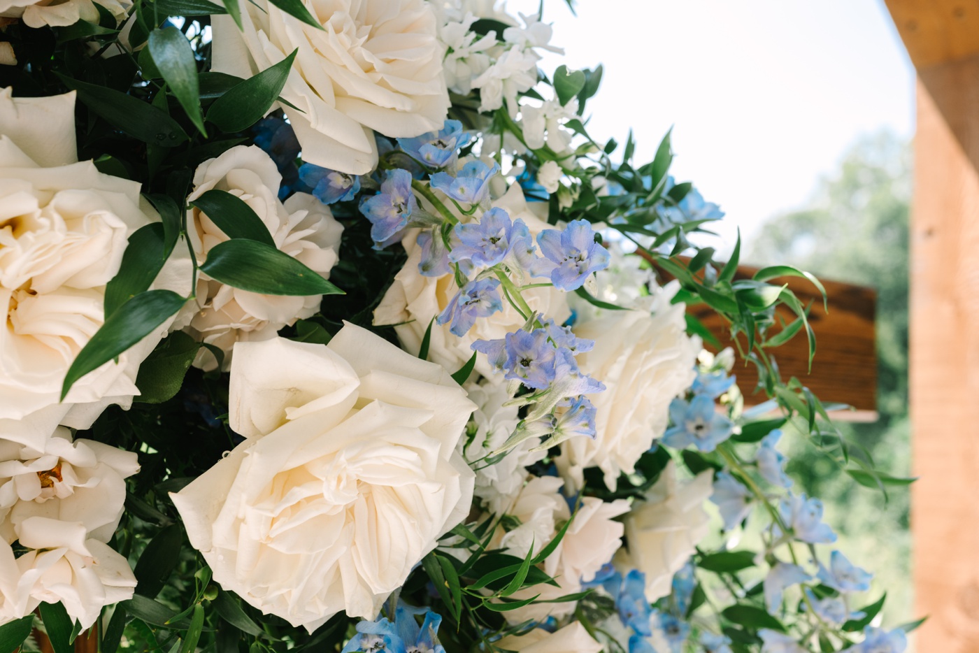 White roses and blue delphiniums on a wedding arch